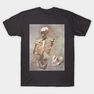 A Skeletal Study T-Shirt